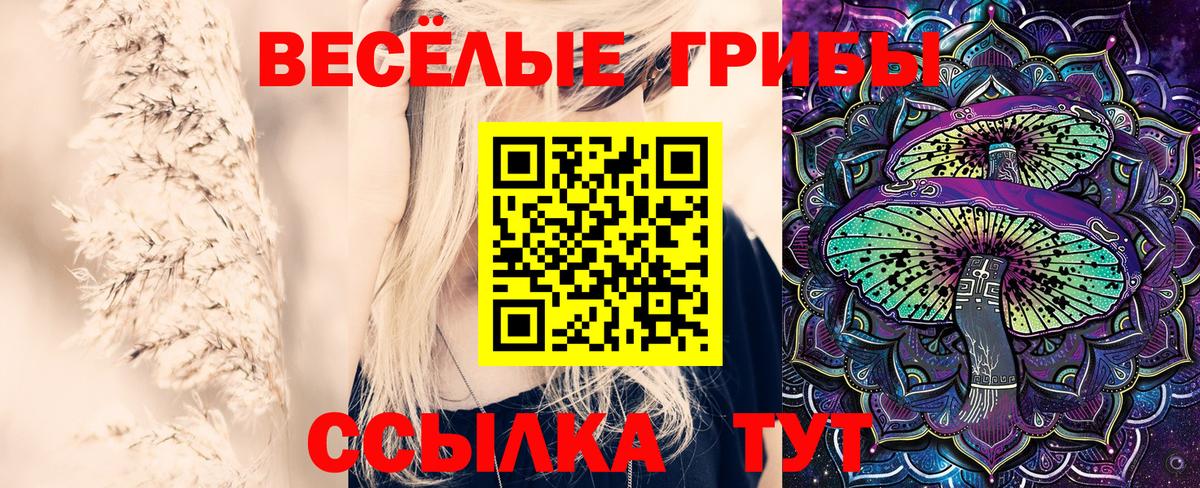 хочу наркоту  Вход с VPN  Петропавловск-Камчатский  Псилоцибиновые грибы Psilocybe 