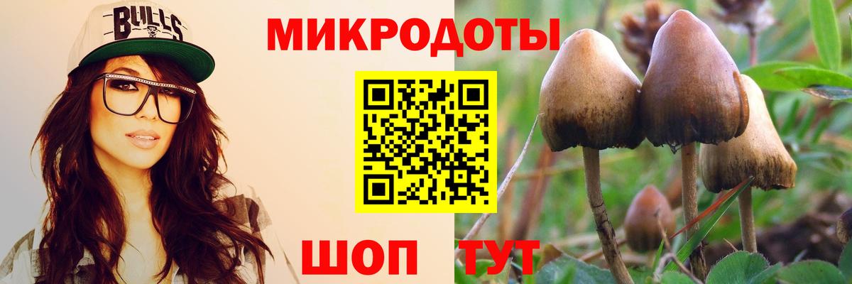 Псилоцибиновые грибы мухоморы Петропавловск-Камчатский